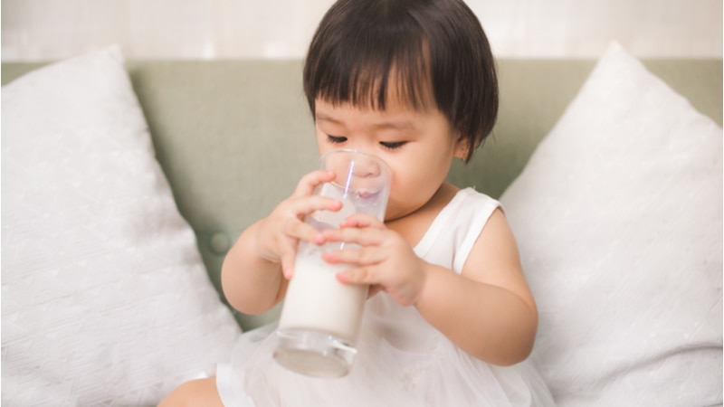 susu untuk menaikkan berat badan anak